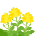菜の花の植え込み