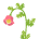 花のライト