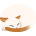 コタツ猫